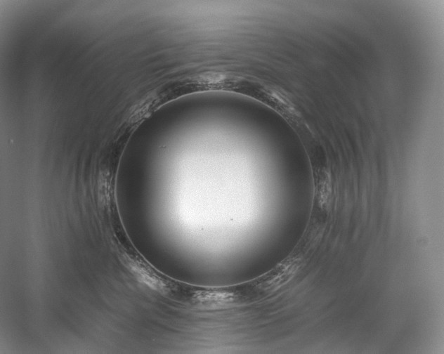 X0000058130476200509231123