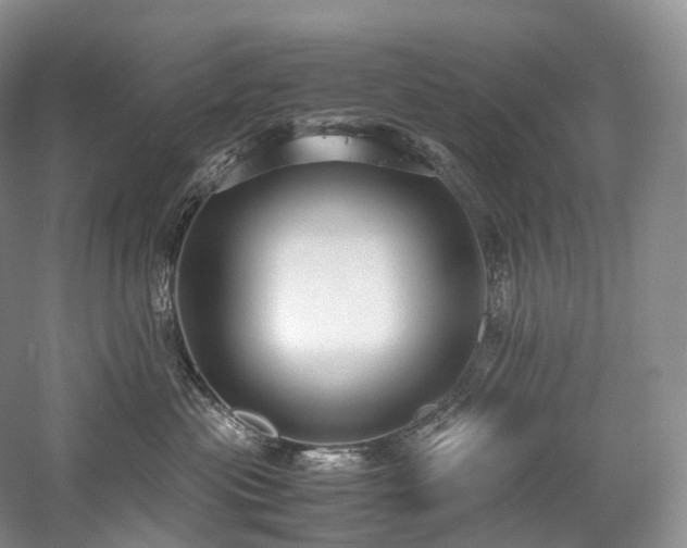 X0000058130477200509231123