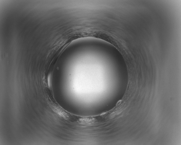 X0000058130480200509231123