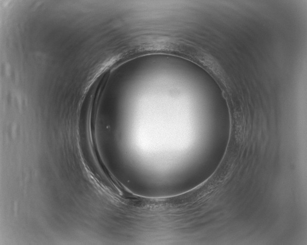 X0000058130482200509231123