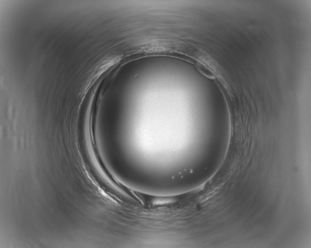 X0000058130485200509231122