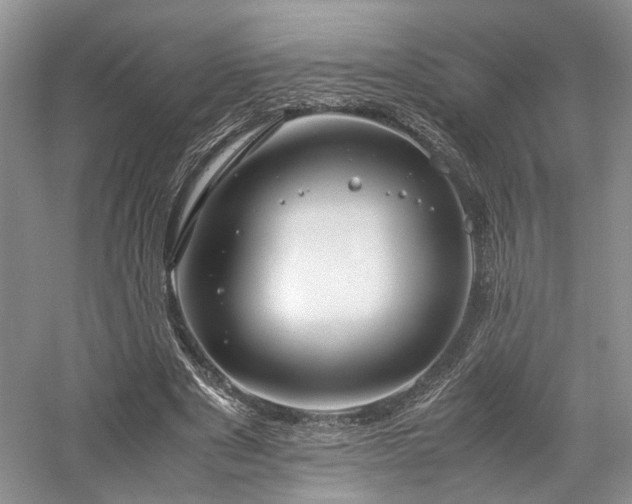 X0000058130489200509231122