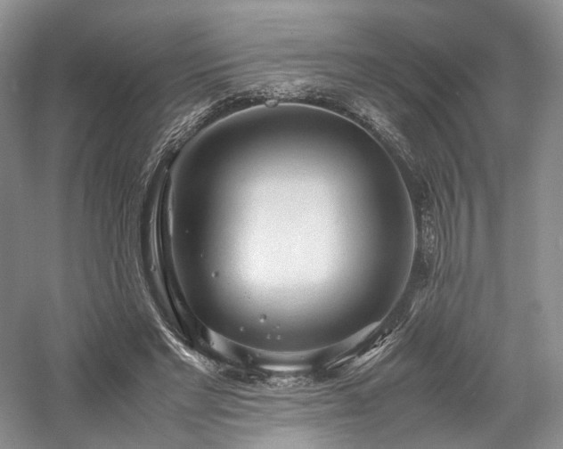 X0000058130493200509231122