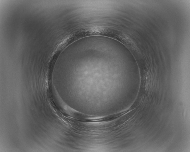 X0000058130496200509231122