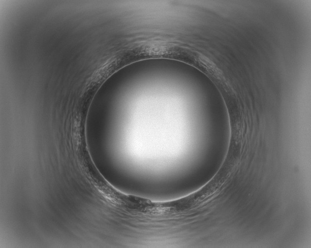 X0000058130497200509231122