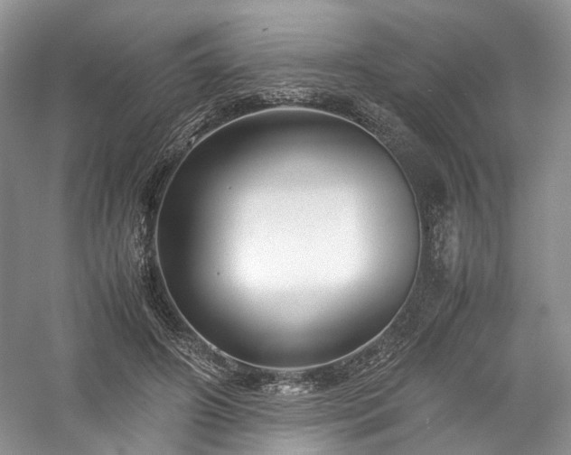 X0000058130498200509231122