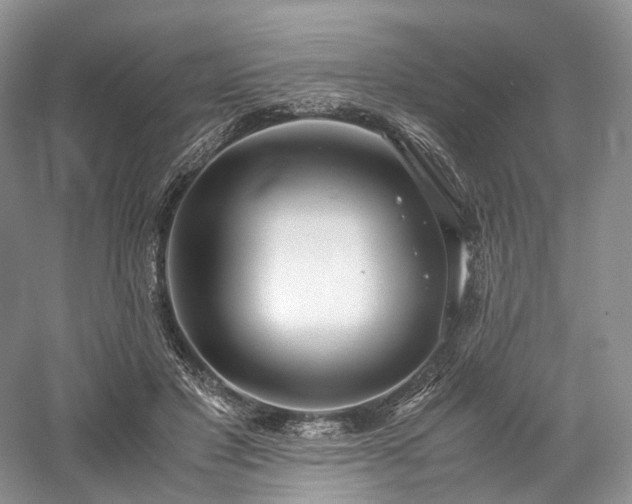 X0000058130501200509231122