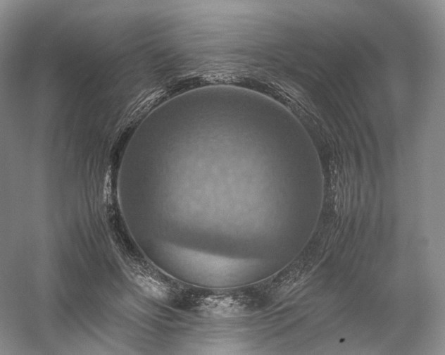 X0000058130502200509231122