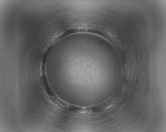 X0000058130504200509231122