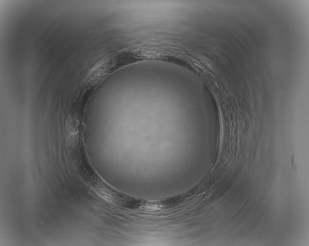 X0000058130507200509231122