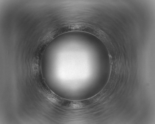 X0000058130510200509231122