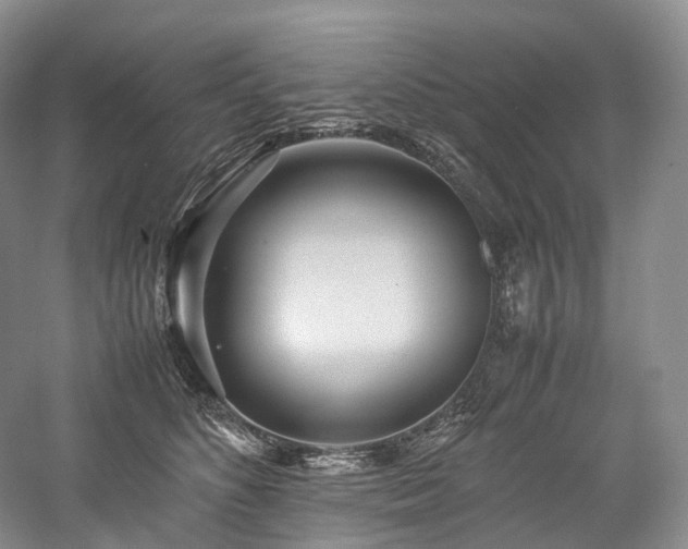 X0000058130516200509231122