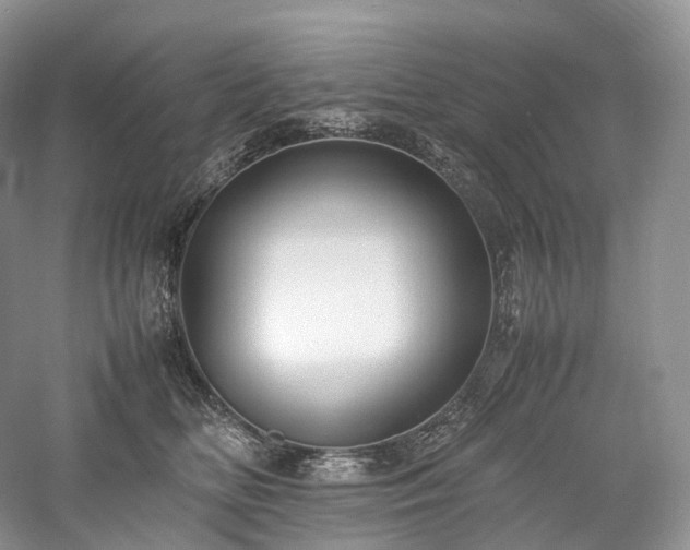 X0000058130518200509231122
