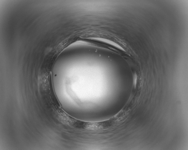 X0000058130521200509231122