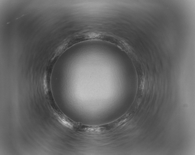 X0000058130524200509231122