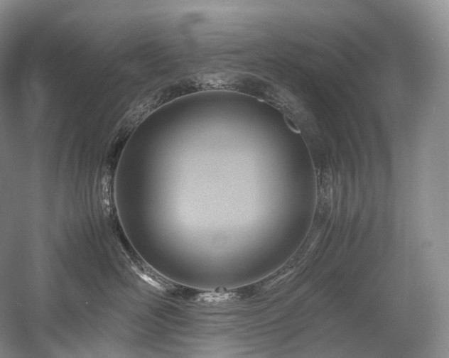 X0000058130526200509231122