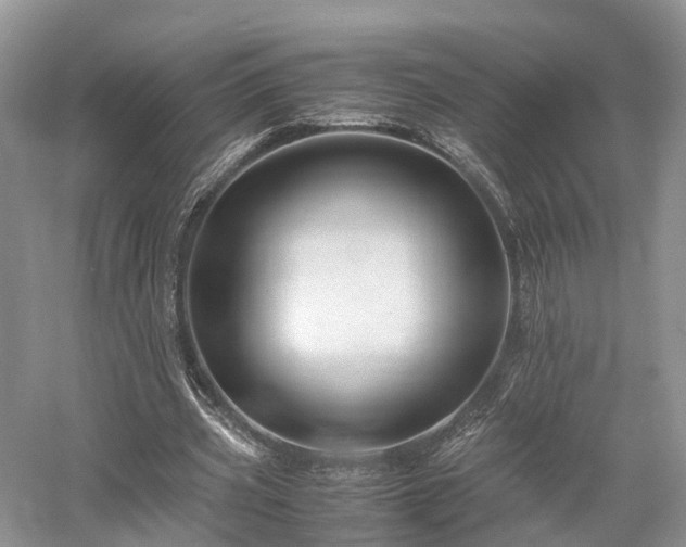 X0000058130533200509231121