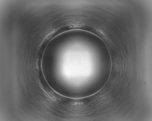 X0000058130543200509231121