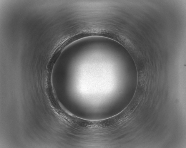 X0000058130544200509231121
