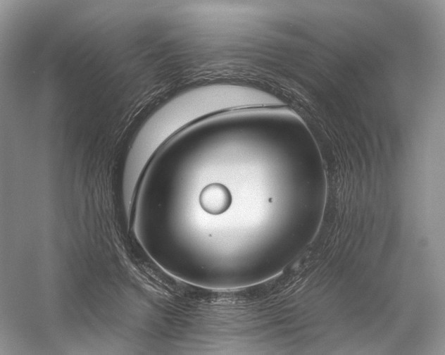 X0000058130546200509231121