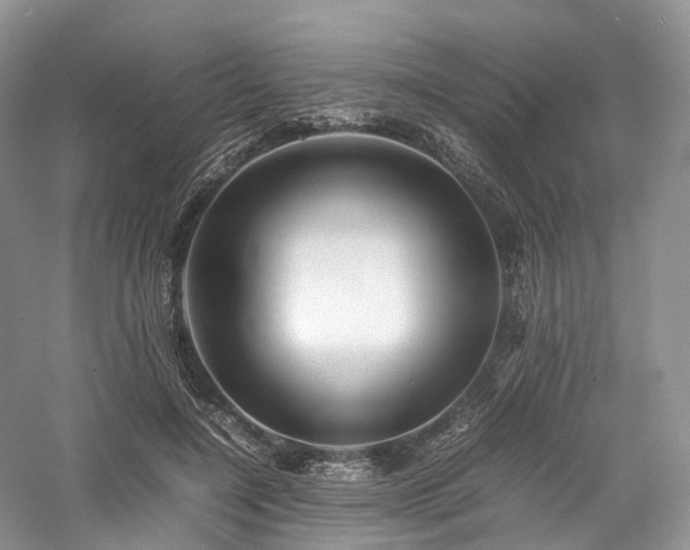 X0000058130548200509231121