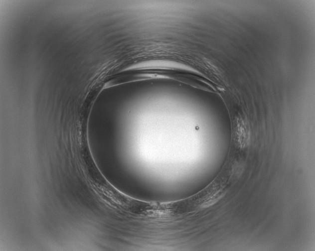 X0000058130552200509231121
