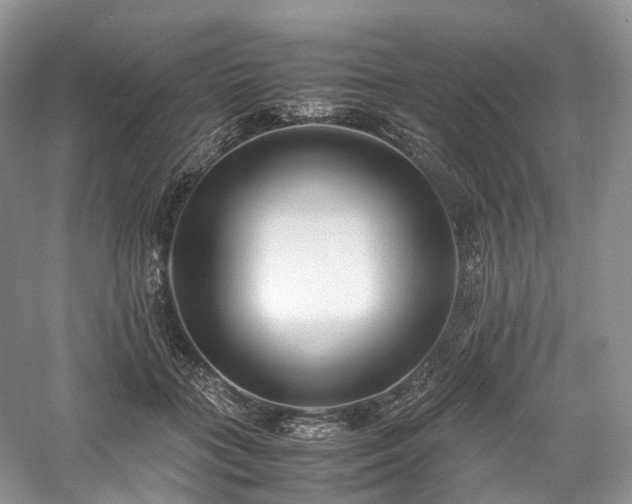 X0000058130555200509231121