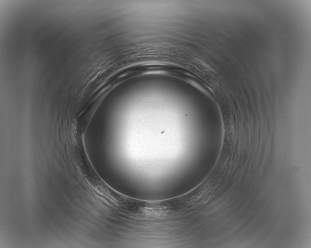 X0000058130556200509231121
