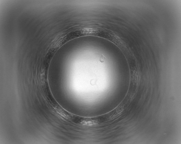 X0000058130557200509231121
