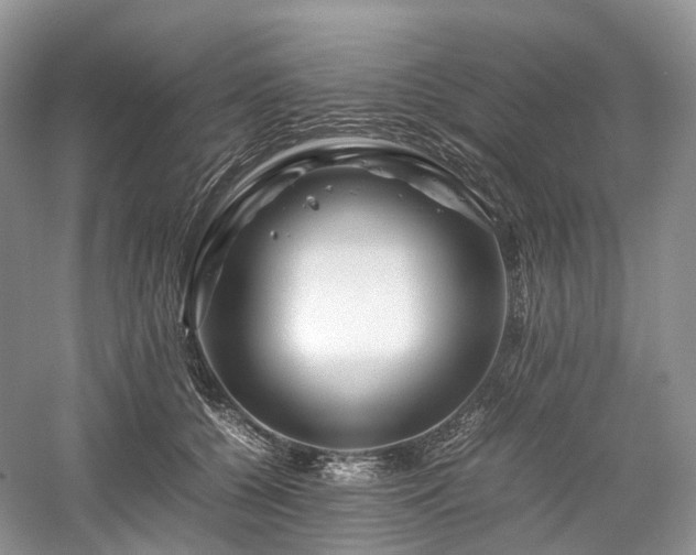 X0000058130560200509231121