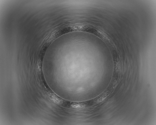 X0000058130561200509231121