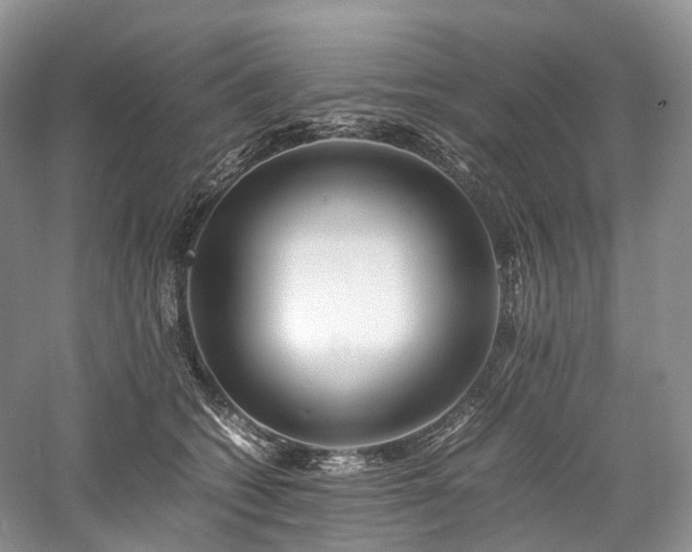 X0000058130562200509231121