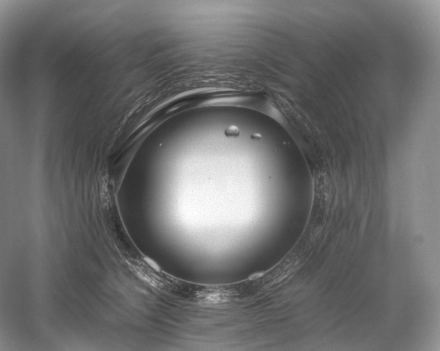 X0000058130564200509231122