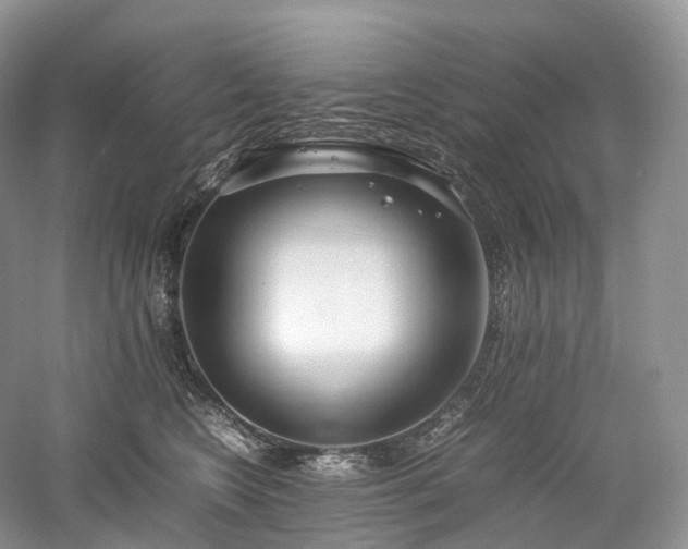 X0000058130566200509231122