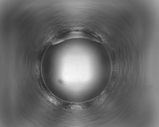 X0000058130572200509231122
