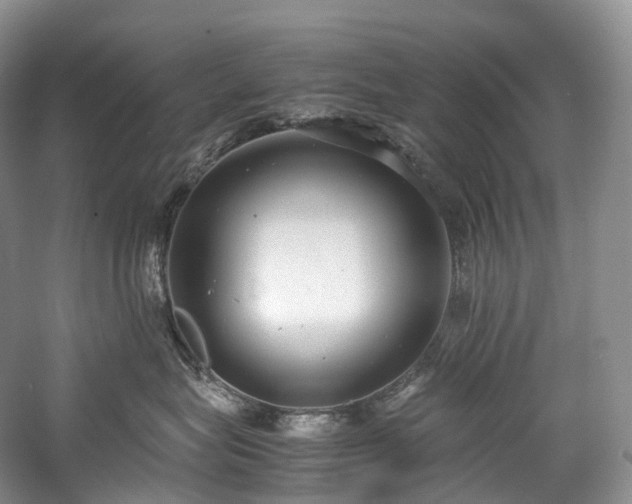 X0000058130575200509231122