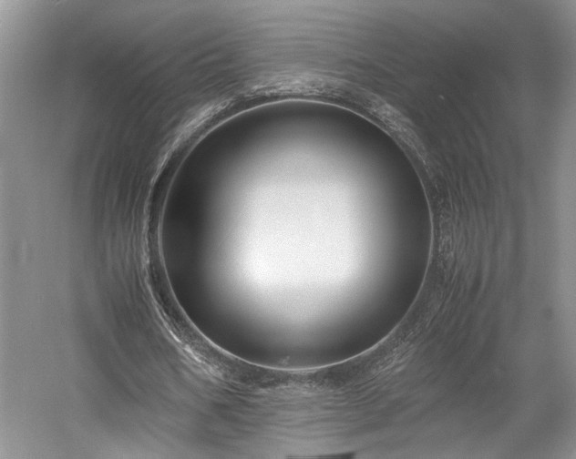 X0000058130578200509231121