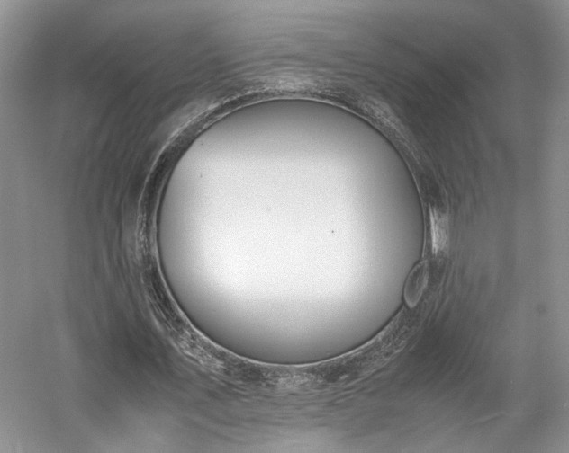 X0000058130579200509231121