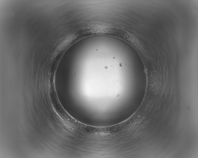 X0000058130586200509231121