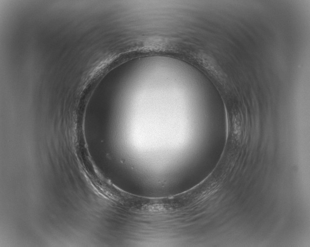 X0000058130588200509231121
