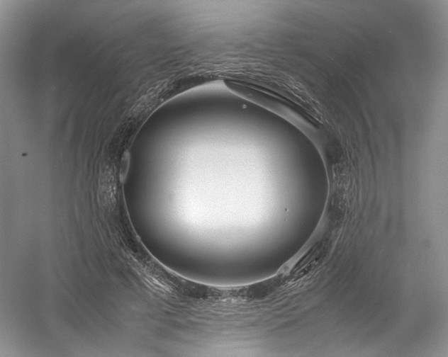 X0000058130593200509231121