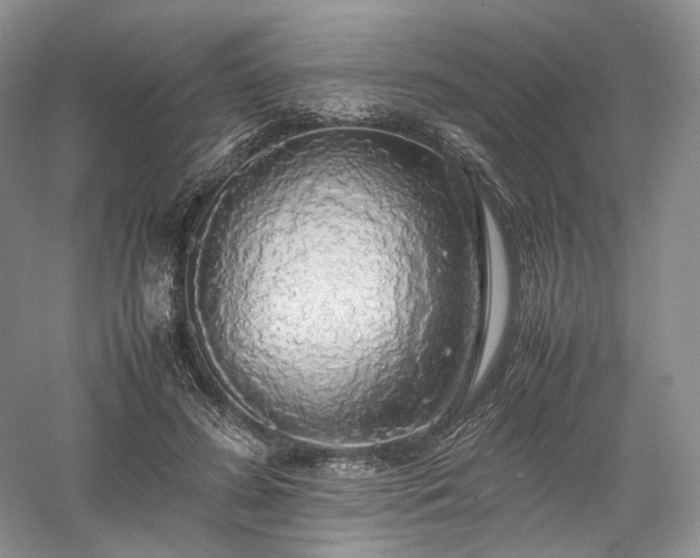 X0000058130596200509231121