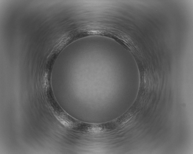 X0000058130598200509231121