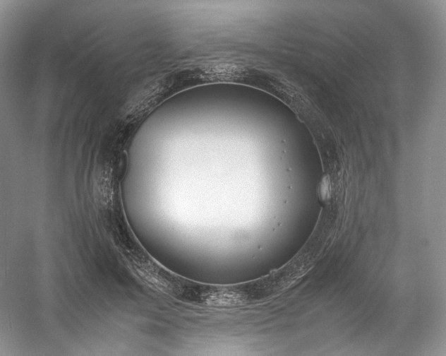 X0000058130599200509231121