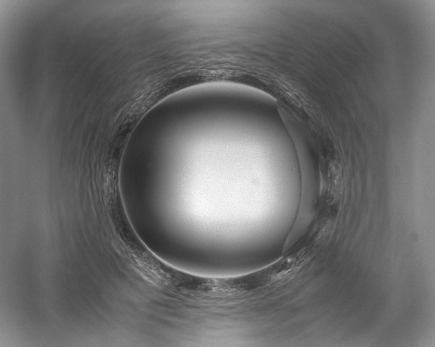 X0000058130601200509231120