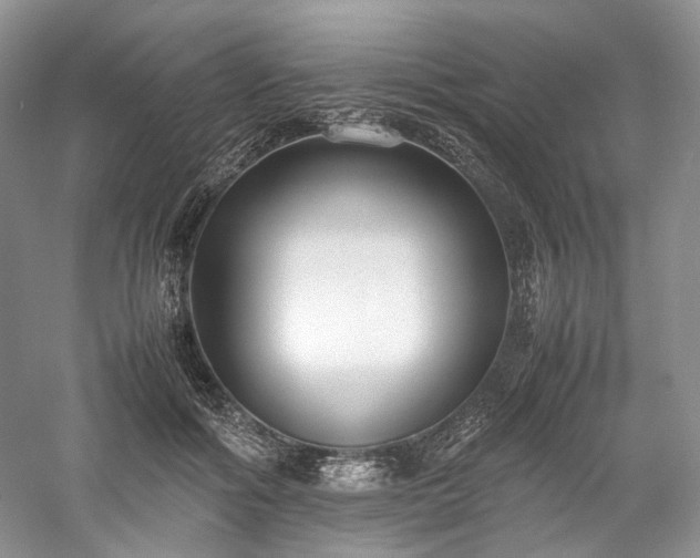 X0000058130602200509231120