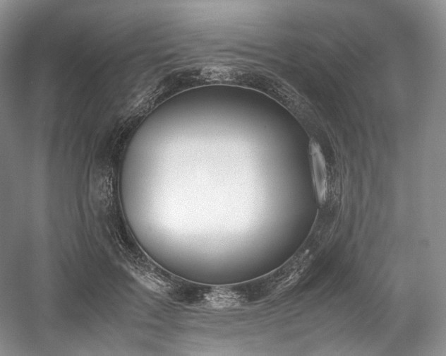 X0000058130603200509231120