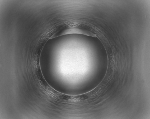 X0000058130604200509231120