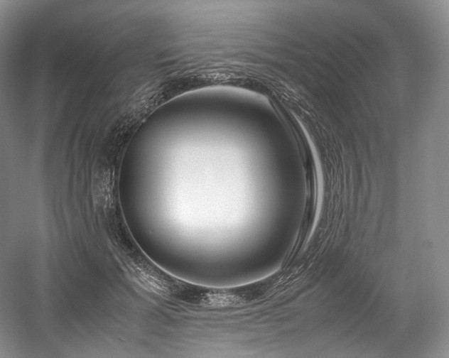 X0000058130605200509231120