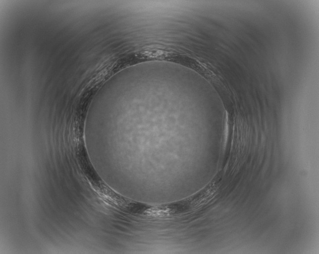 X0000058130606200509231120